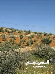  6 للبيع قطعة ارض ثلاث دنمات ونصف منطقة نادرة جرش بسعر مميز