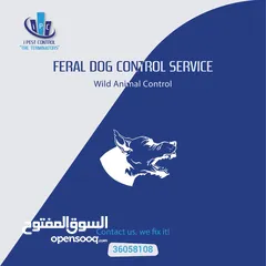  8 Best Offer - Pest Control Service - i Pest Control Bahrain