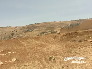  4 أرض للبيع  الكمشه