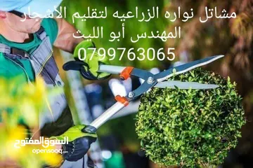  6 شجرنا انتاجنا