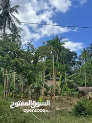  4 مزرعة في Zanzibar  مايقرب الطول 3كيلو والعرض 2 كيلو