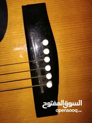  7 جيتار اصلي تايوني
