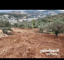  3 منزل بموقع مميز بجفنا