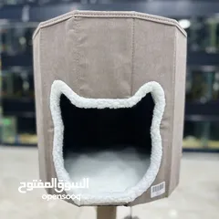  7 بيوت مع خداشات للقطط