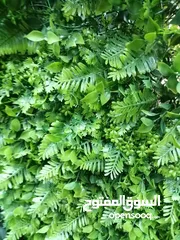  3 عشب جداري & عشب صناعي & نجيل صناعي & grass wall & wall grass & green wall