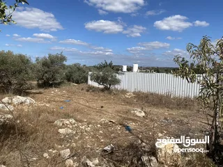  1 أرض مميزة للبيع – موقع استثماري وسكني في قلقيلية
