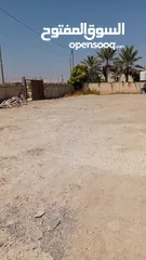  4 ارض للبيع في اريحا