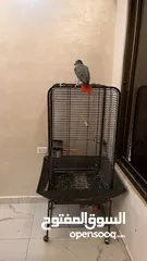  3 كاسكو مزرعة للبيع حبة بالصلاة علنبي