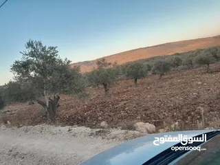  1 ارض اوصلها كل الخدمات صالحه للسكن