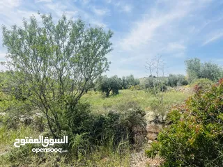  4 960 م شارع الستين