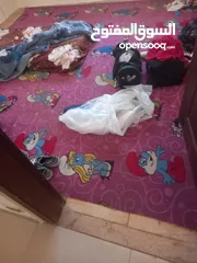  7 موكيت عدد 2 شبه جديد مع برداي ستان وجهين مع كنبه استعمال خفيف