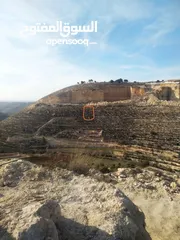  1 قطعة ارض للبيع تصنيف B كوشان طابو