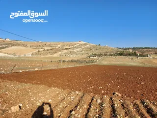  23 أرض في نادره دحل خربة المطوي شرق جرش
