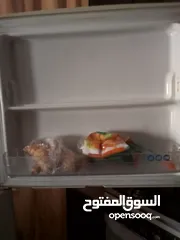  5 ثلاجه 21 قدم لون ابيض نوع HP