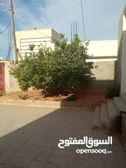  9 عين زارة ازويته جنب مدرسة جبر بن حيان 520متر