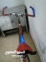  5 بسكليت جنط 24