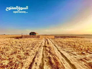  2 ارض زراعية جنوب عمان