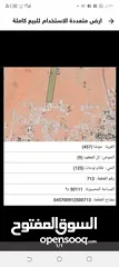  2 قطعة أرض50دونم للبيع كاملة من أراضي حوشا/الحمراء  سعر الدونم الواحد 5500