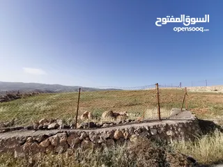  4 قطعة أرض مميزة للبيع في السلط الصبيحي قصيب مرتفعة ومطلة بسعر مغري
