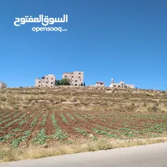  3 ارض 2 دونم سكن أ أخضر في مرج الحمام خربة خليفه قرب سيدة السلام والشويفات