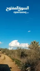  1 ارض للبيع مساحه 1000 متر