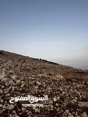  20 تملك الان فرصة العمر قطعة ارض من اراضي غرب عمان مطلة على فلسطين و الاغوار و البحر الميت و سد الكفرين