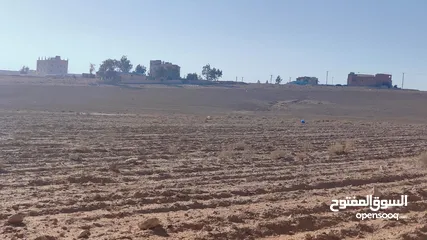  2 ارض للبيع في الموقر لبناء شاليهات أو مزرعة ريفية أو للسكن