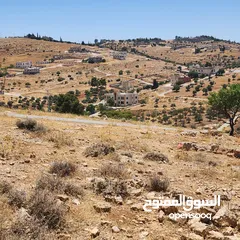  5 ارض مميزة في رجم الشوك 700م سكن ب حد شفا بدران من المالك مباشر