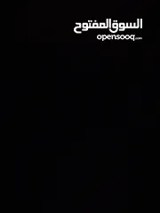  1 قطه ذكر للبيع هاديه وغير شرسه