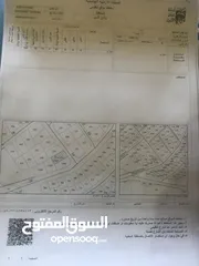  2 قطعة أرض مميزة في ابو السوس مقابل مسجد فريدة القاضي