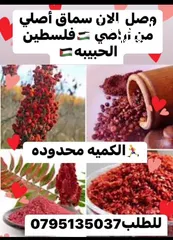  23 عسل وجبنه غنم وورق عنب وملوخيه ومعمول وكعك وكيك وهريسه ودحدح وغريبه ومكدوس ومربى وكبه وسماق