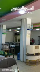  6 عصفور بندوق