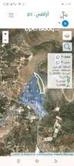  1 أرض للبيع طول كرم كفر صور بسعر لقطه