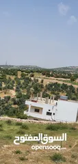  16 ارض للبيع في عجلون بجانب قلعه الربض