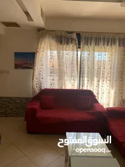  3 ستديو مفروشة للايجار في المدينة الرياضية 220