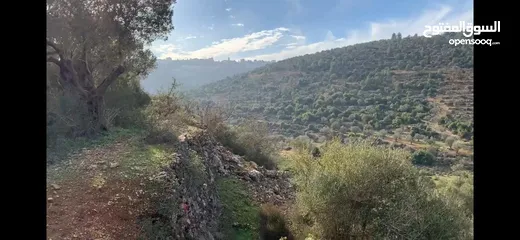  3 جفنا زعبوب 1355 متر على شارعين في المخطط الهيكلي حدود جفنا بيرزيت، مرتفعة ومطلة مقابل تلال بيرزيت