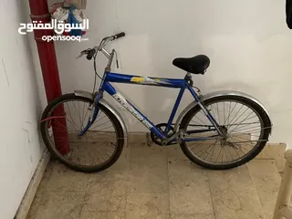  4 Adult Bicycle For sale