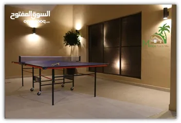  29 مزرعه وفيلا ميراج