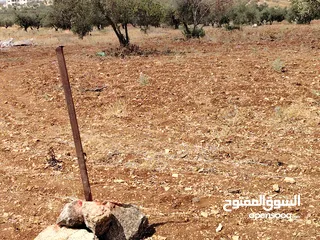 8 قطعة أرض بكوشان مستقل