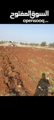  2 نمره ارض 700
