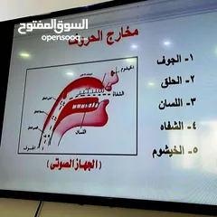  2 دورة تأسيس لغة عربية للأطفال