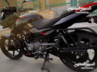  1 بولسر رياضي