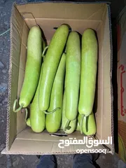  11 Fresh vegetables available at Wholesale price from our own Farms.