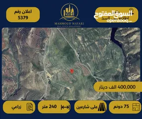  1 رقم الإعلان: 5379 أرض زراعية مميزة للبيع – جلعد / إطلالة مباشرة على السد