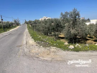  1 قطة ارض للبيع في ضاحية الإمام الغزالي ممتازه ومطله حوض ام عوسجه بالقرب من مدرسة بناة الغد