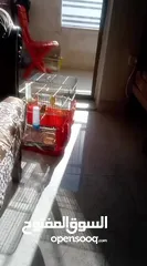  6 متاح حساسين  فحول واناتي