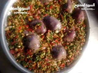  28 شيف طباخ شرقي وغربي وسلطات ابحث عن عمل خبره في الاكل العربي ابحث عن عمل