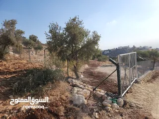  10 ارض مميزة في زبدا الكاشف
