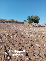  15 مزرعه للبيع في جرش سوف منطقه الظهره الشماليه
