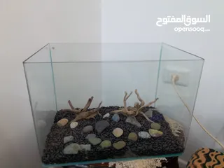  1 حوض سمك كريستال